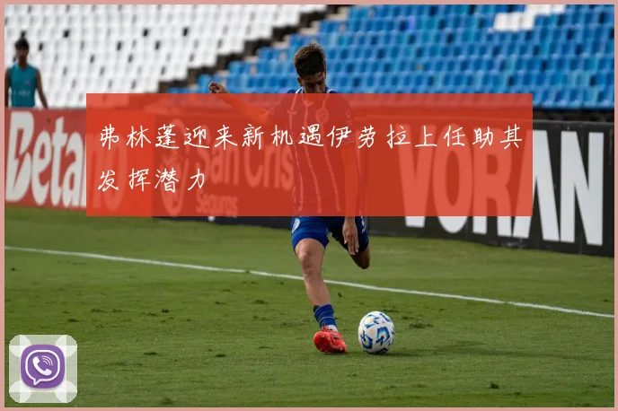 弗林蓬迎来新机遇伊劳拉上任助其发挥潜力